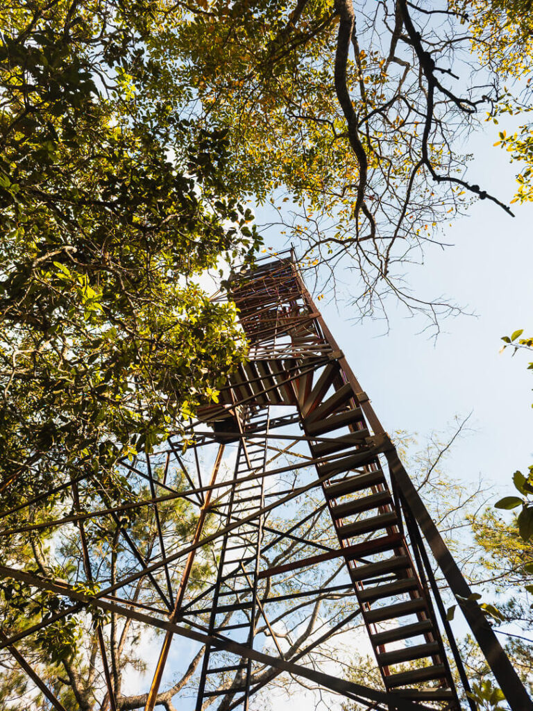 Looking up at the metal structure of the Buak Chan Fire Observation Tower from the ground level.