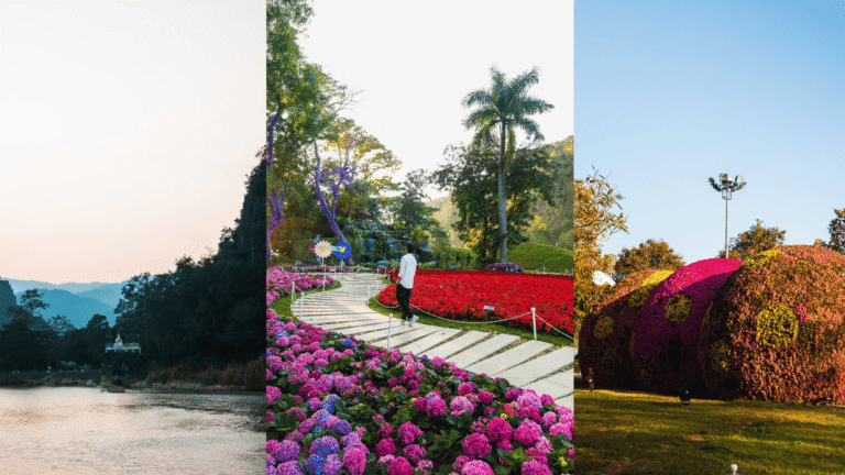 A collage of Chiang Rai River Beach featuring a sunset over the Kok River, a flower garden, and a traveler walking through the park.
