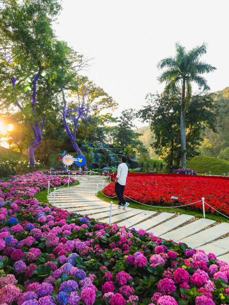 A traveler walking through the flower garden at Chiang Rai River Beach near the Kok River during sunset.