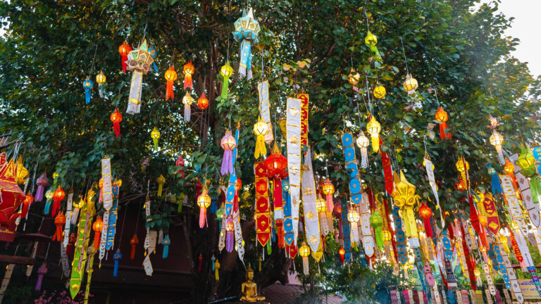 Living in Chiang Mai on a budget, with lanterns hanging from a tree above a Buddha statue inside a local temple