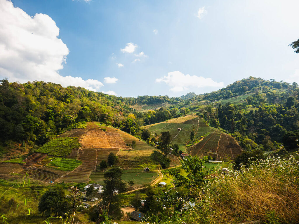Vibrant green rice terraces and local farming villages visible from the road during the Samoeng Loop motorbike ride.