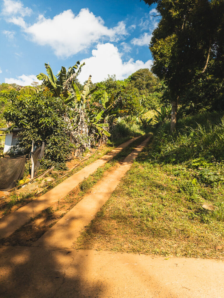 The dirt pathway located just behind the school gate that leads up to the jungle tower.