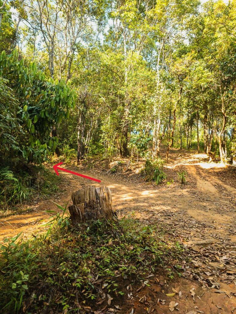 Side view of the trail junction showing the correct left turn towards the fire tower.