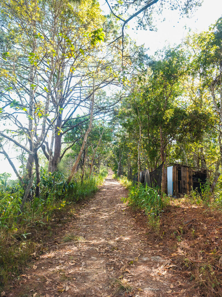 Old wooden houses in the jungle marking the final turn before the fire tower