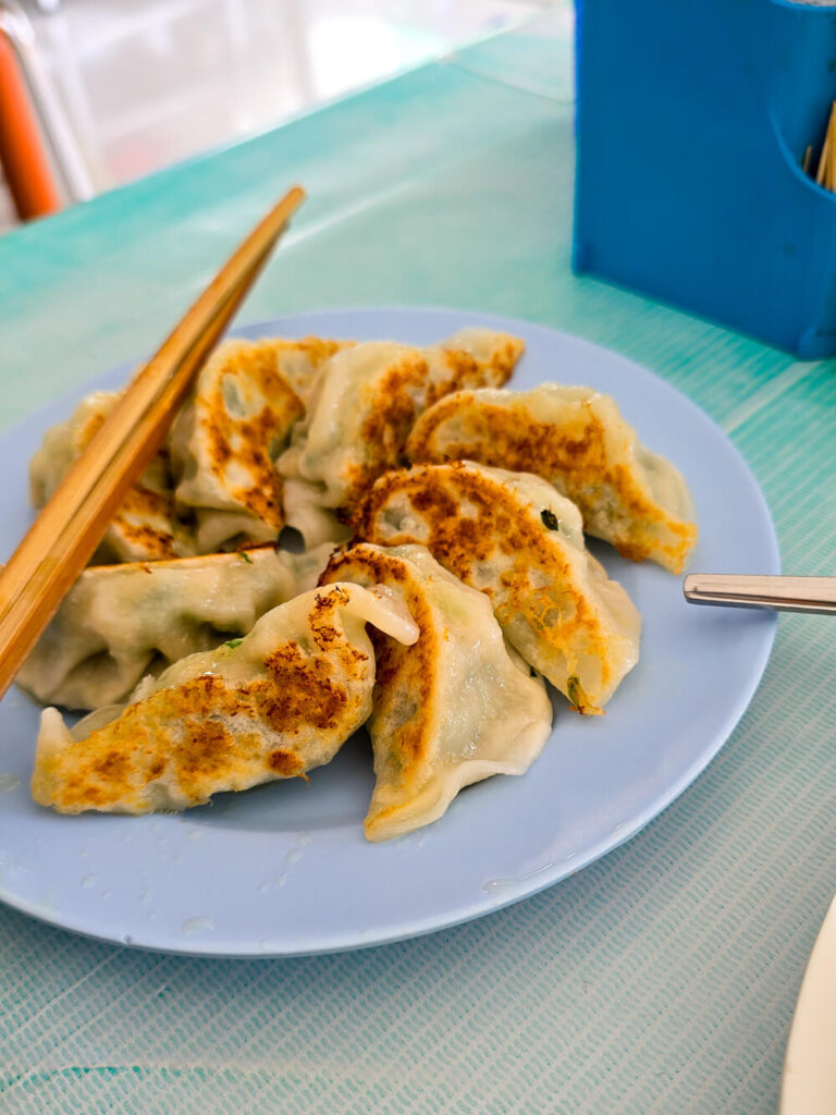 A plate of chicken gyoza bought for 50 THB at a local Thai night market.
