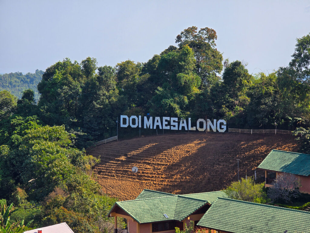 Lush green terraced tea plantation featuring a large Doi Mae Salong sign on the hillside.