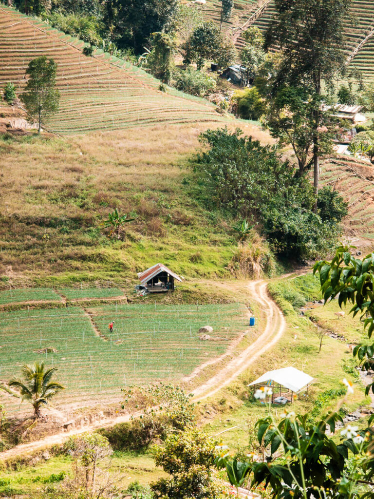 A quiet and well-paved rural road on the Samoeng Loop, a popular route for riding a scooter in Northern Thailand.