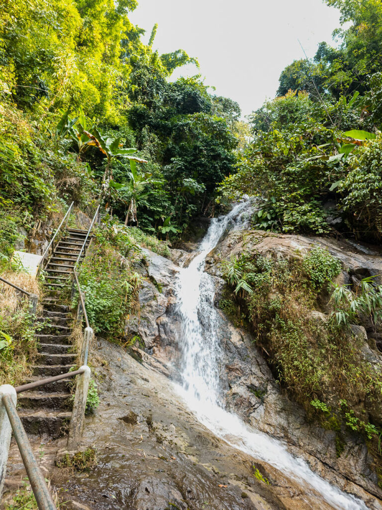Narrow wooden and stone stairs climbing up the side of a flowing waterfall in the forest.