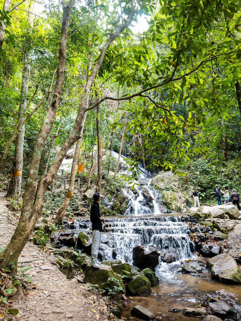 A person standing in front of the cascading Mae Kampong Waterfall surrounded by mossy rocks and trees.