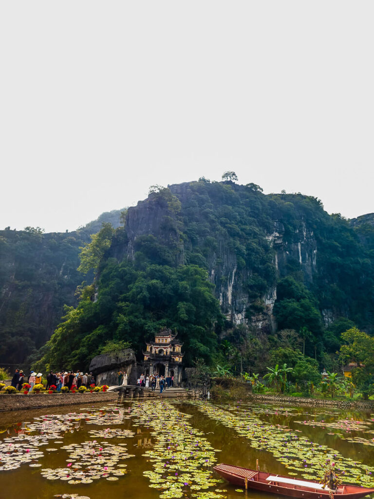 A vibrant daytime shot of green rice paddies and limestone karsts under a clear sky in Ninh Binh.