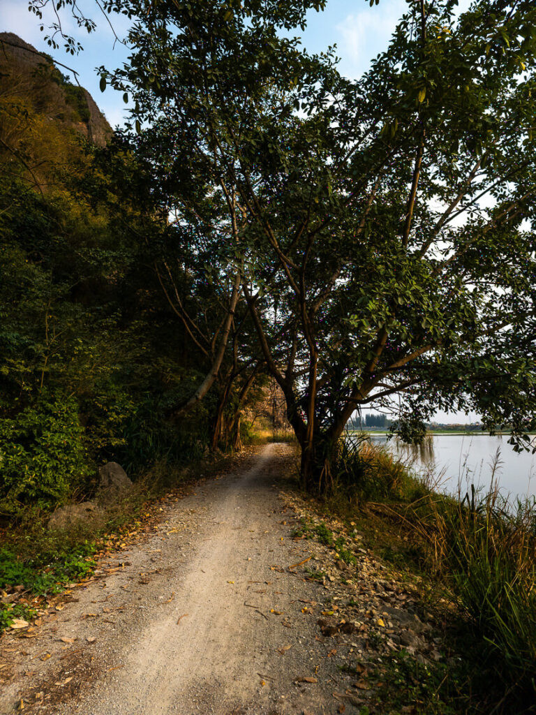 An empty, scenic countryside road winding through the towering limestone karsts of Ninh Binh at dusk.