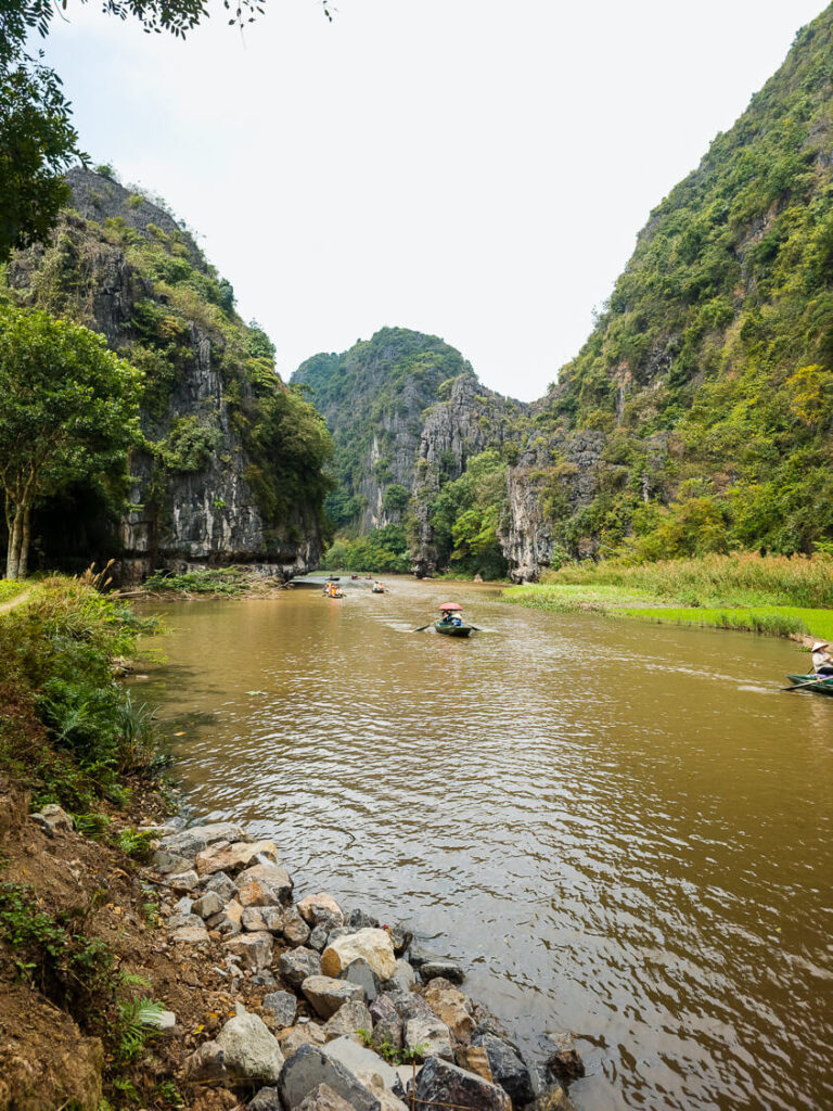 A small cluster of traditional empty wooden rowing boats docked on a peaceful, quiet waterway surrounded by nature.