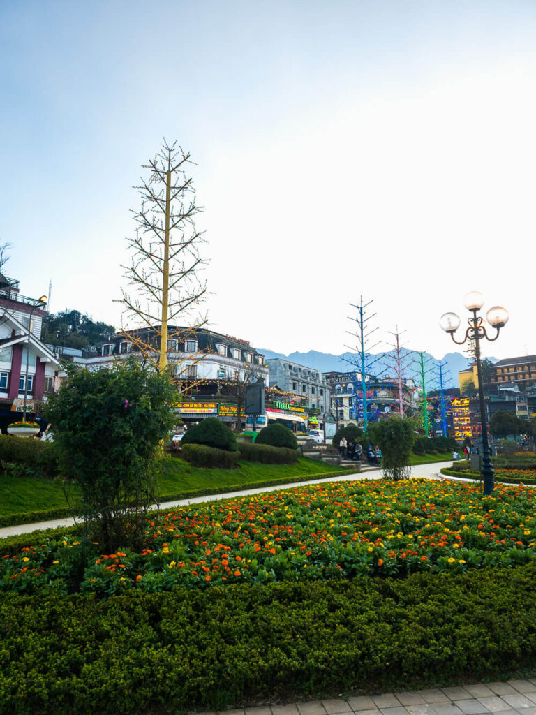 A close-up view of a vibrant, blooming flower garden situated right next to the central Sapa Lake.
