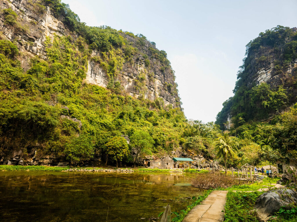 Wide view of an empty paved road winding through bright green rice paddies and towering limestone mountains in rural Ninh Binh.