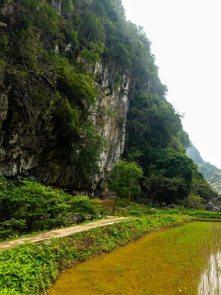 The dark, hidden entrance to Thien Huong Cave tucked away in the lush jungle foliage behind the pagoda.