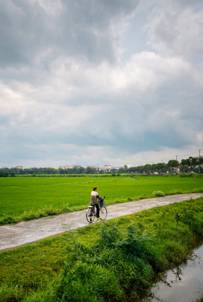 Cycling along a narrow path through lush green rice paddies on the quiet outskirts of Hoi An.