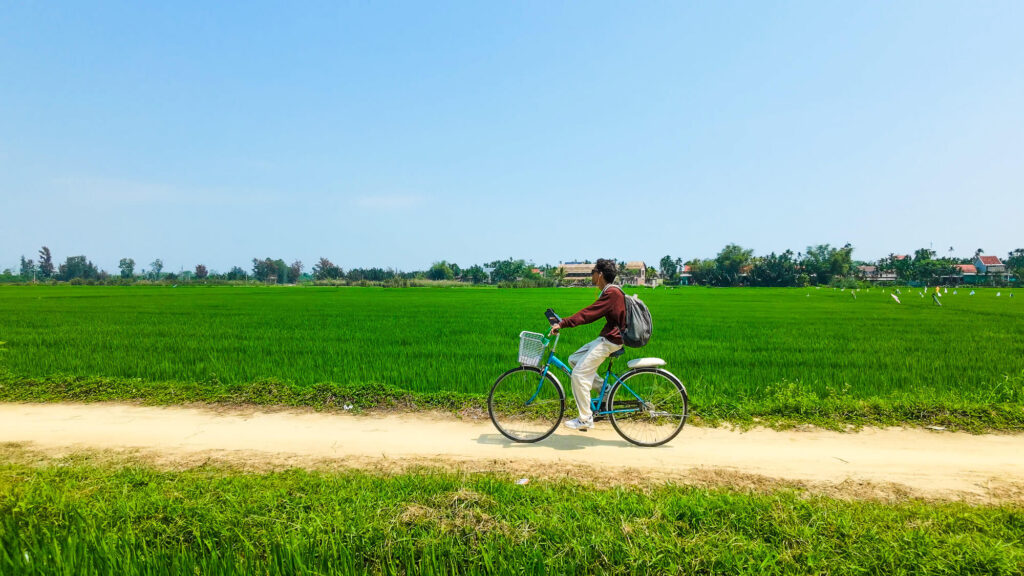 A solo traveler riding a bicycle on a narrow dirt path through vibrant green rice fields in the early morning near Hoi An.