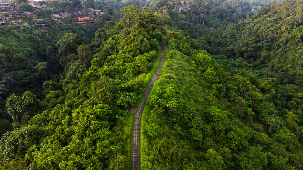 How to Plan a Trip to Bali 2026: The Ultimate Regional Travel Guide 10 Lush green aerial drone view of the paved Campuhan Ridge Walk winding through the valleys of Ubud.