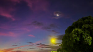 The famous twin banyan trees under a purple evening sky and moon, a beautiful free sight to include in your Yogyakarta travel budget